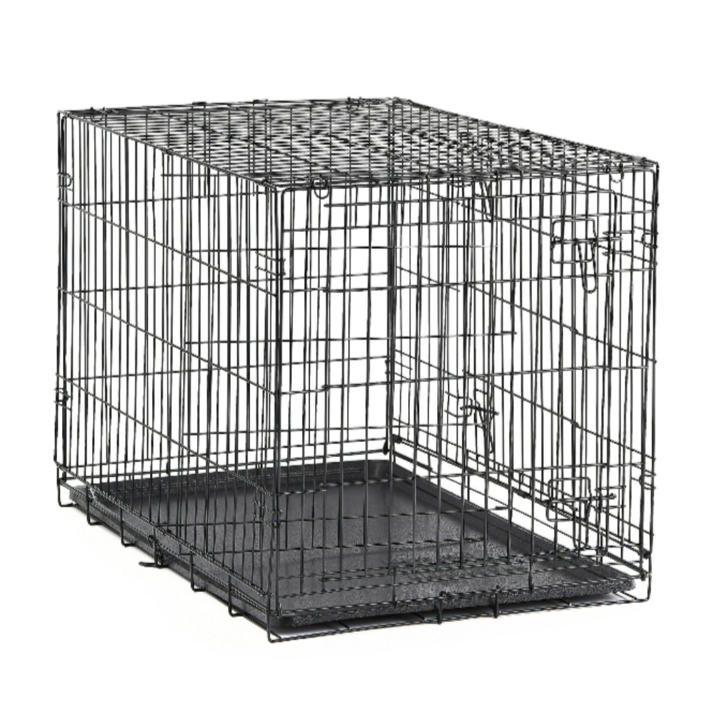 Aspen Pet Blue training kennel